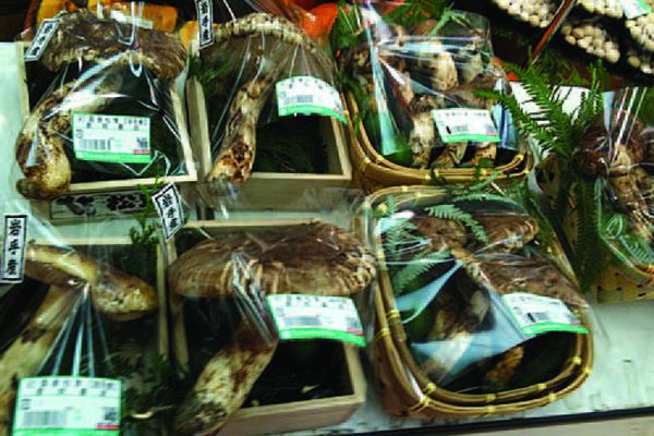 Matsutake_-_tryufel_po-yaponski