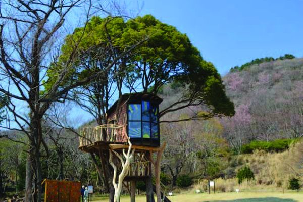 Domiki_na_dereve_ot_Takashi_Kobayashi