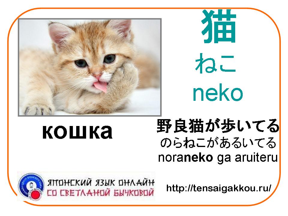 Как переводится кошек. Животные на японском языке. Кот на японском языке. Японский язык животные на японском. Слова на японском животных.