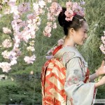 11 мифов о Японии
