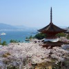 Поездка в Японию: несколько советов туристам