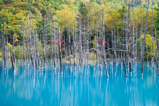 Blue pond in Hokkaido